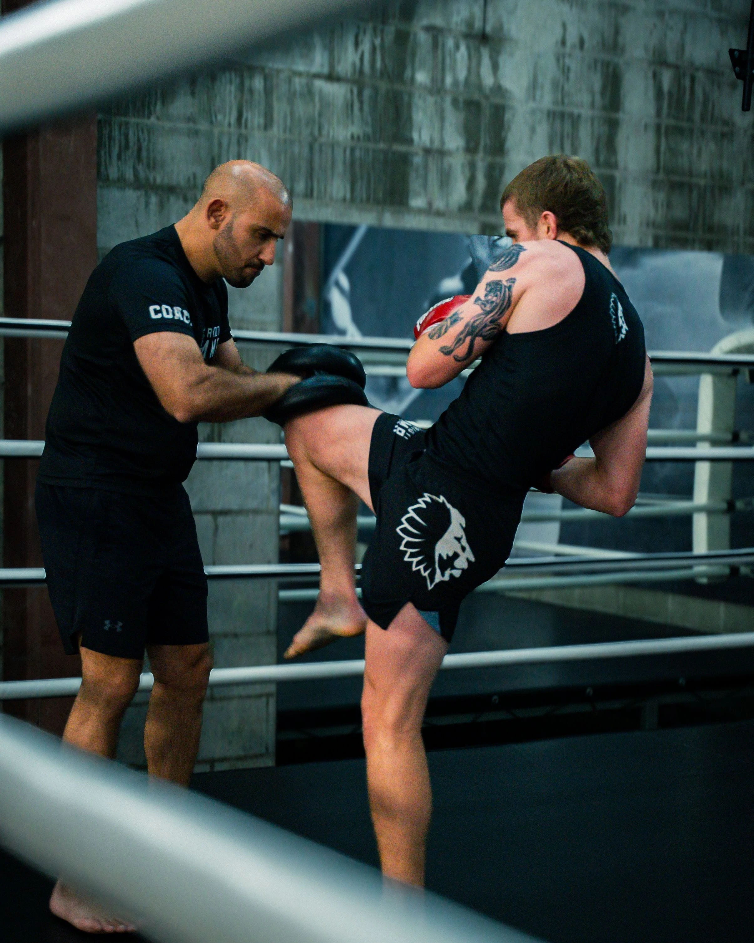 Kick Boxing Racicot Carioti MMA
